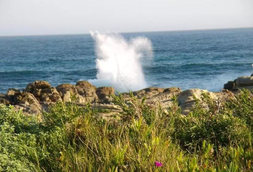 Retkeilymaja Seals Backpackers