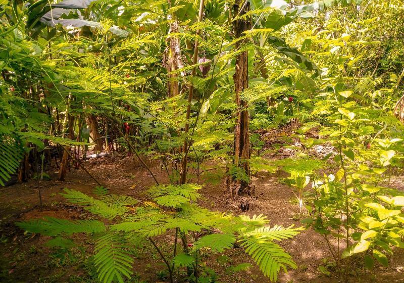 فندق Arenal Monara