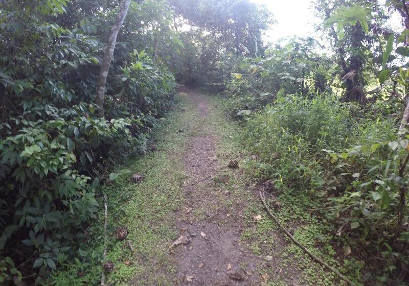 فندق Arenal Monara