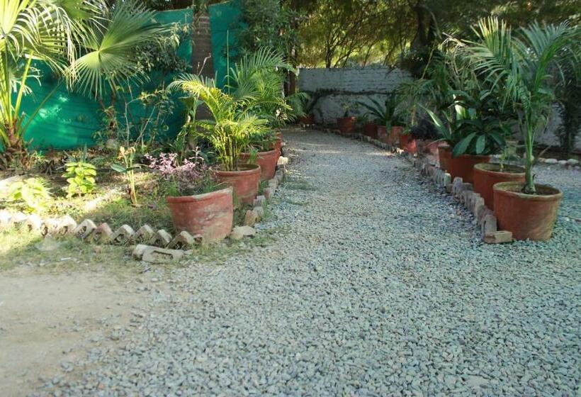 ホテル Ramya Resort & Spa