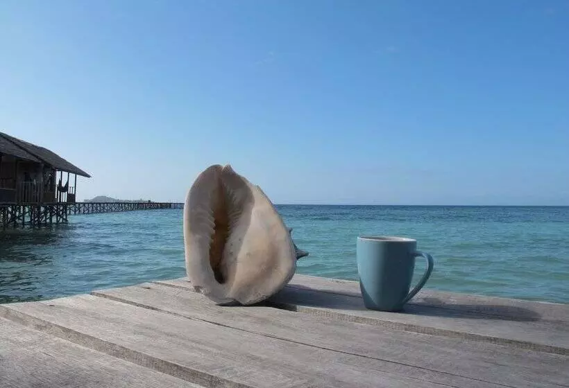 Hotelli Hamueco Dive Resort Raja Ampat