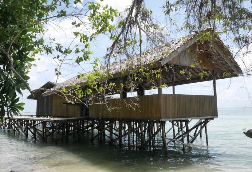 فندق Hamueco Dive Resort Raja Ampat