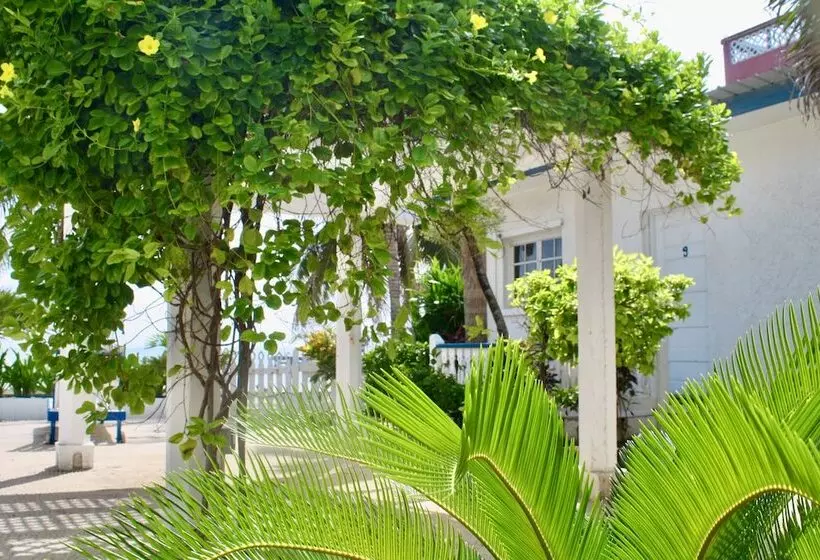 هتل San Pedro Holiday