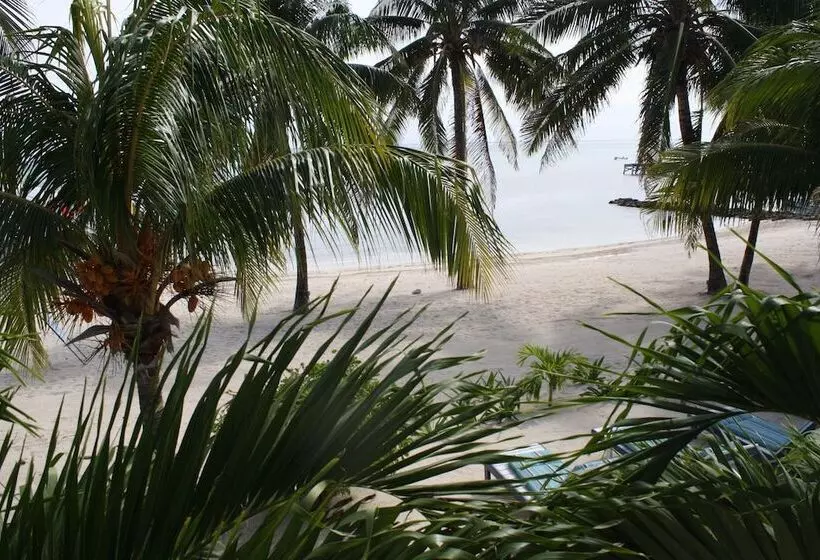 هتل San Pedro Holiday