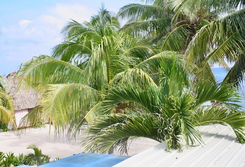 בית מלון כפרי San Pedro Holiday