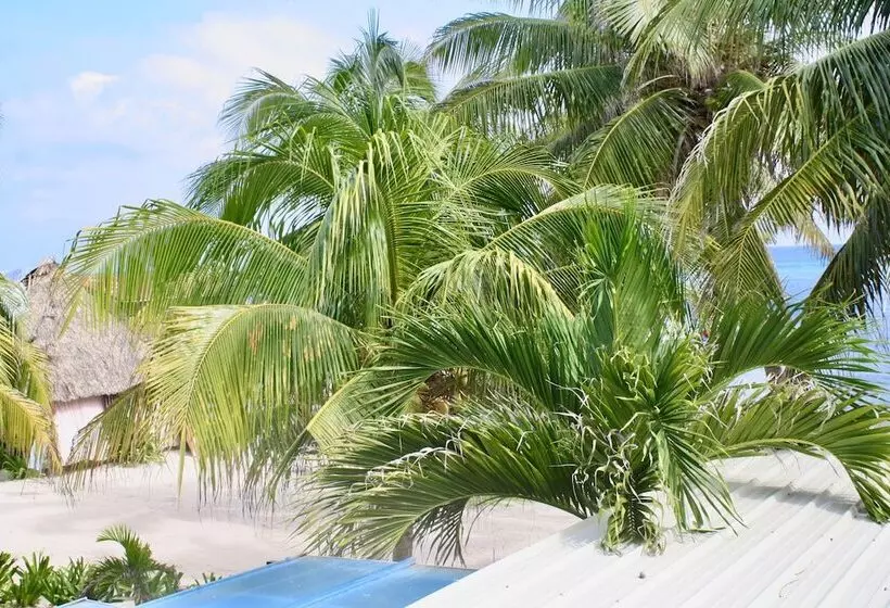 هتل San Pedro Holiday