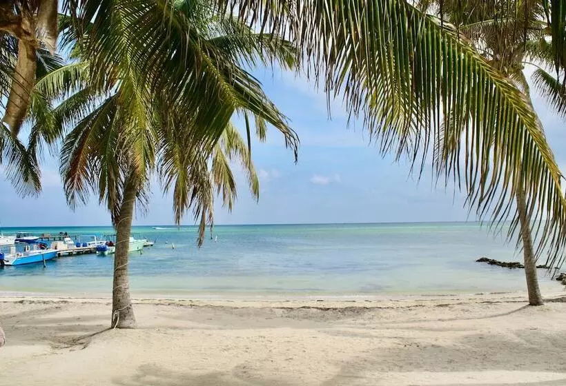 هتل San Pedro Holiday