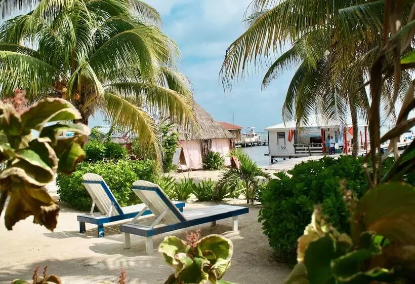 هتل San Pedro Holiday