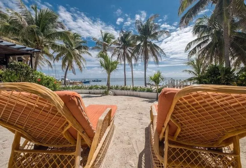 هتل San Pedro Holiday