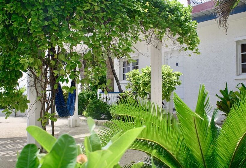 בית מלון כפרי San Pedro Holiday