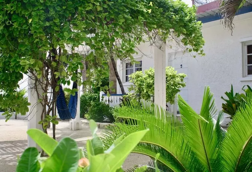 هتل San Pedro Holiday