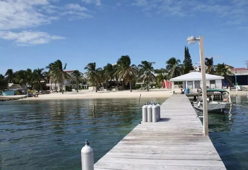 هتل San Pedro Holiday