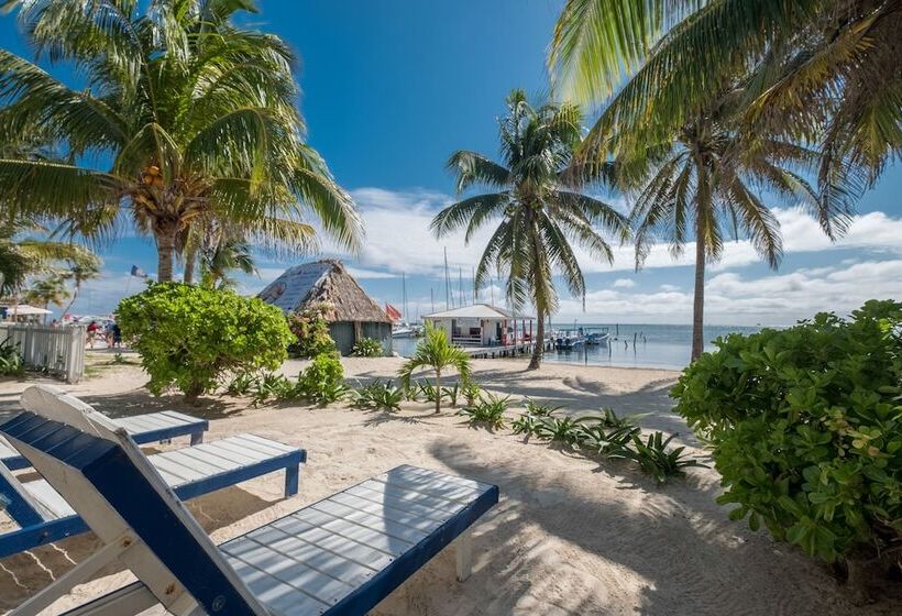 בית מלון כפרי San Pedro Holiday