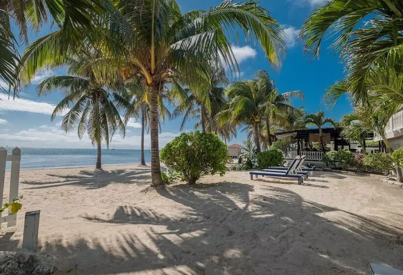 هتل San Pedro Holiday