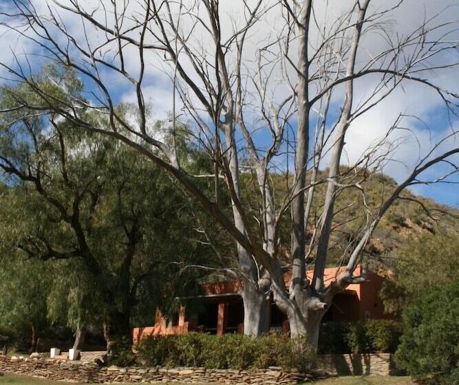 膳宿费 Matjiesvlei Retreat 1945