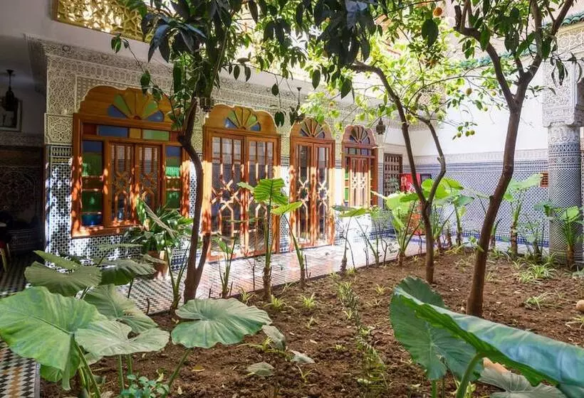 ペンション Riad Les Chrifis Navette Aeroport 24 Sur 24