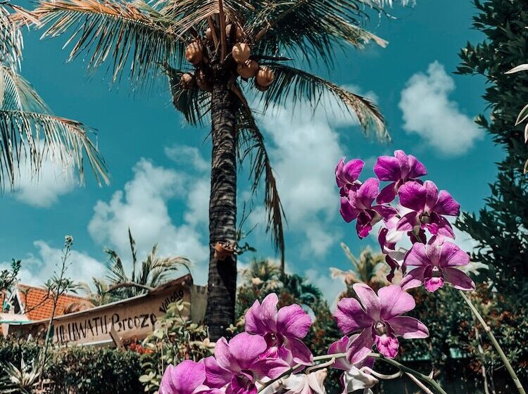 بنسيون Uluwatu Breeze Village