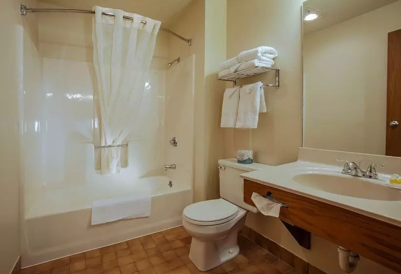 호텔 Natura Treescape Resort