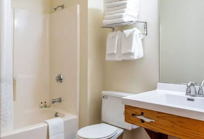 호텔 Natura Treescape Resort