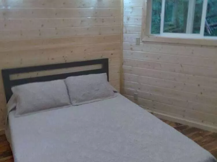 酒店 Alexander S Lodge