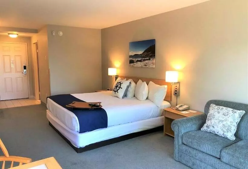 ホテル Atlantic Eyrie Lodge