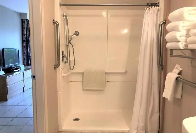 ホテル Atlantic Eyrie Lodge