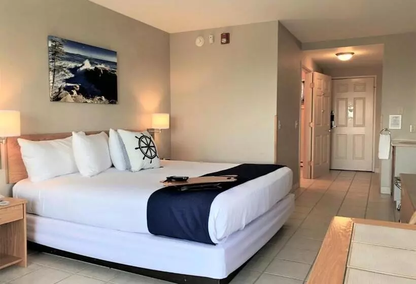 ホテル Atlantic Eyrie Lodge