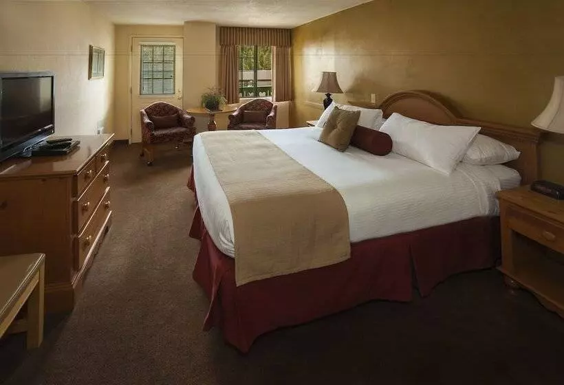 ホテル Austria Hof Lodge