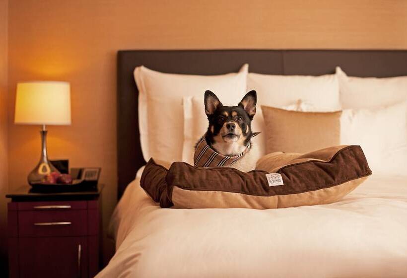 فندق Hyatt Place Atlanta Buckhead