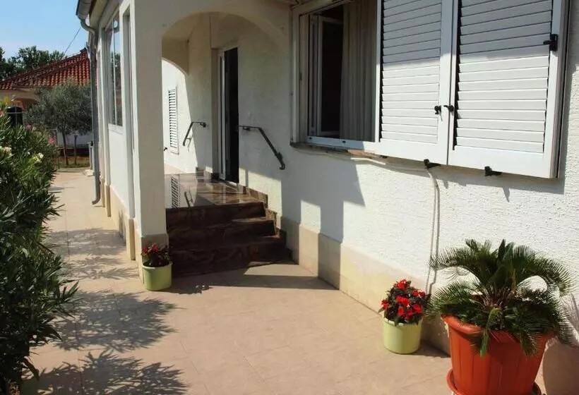 Ana Guest House