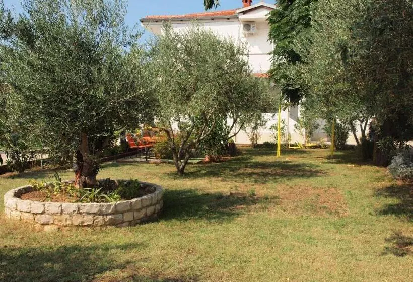Ana Guest House