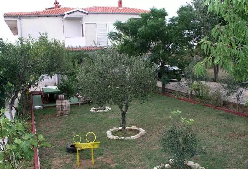 Ana Guest House