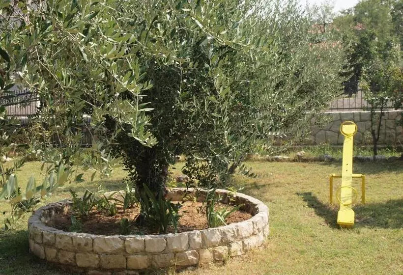 Ana Guest House
