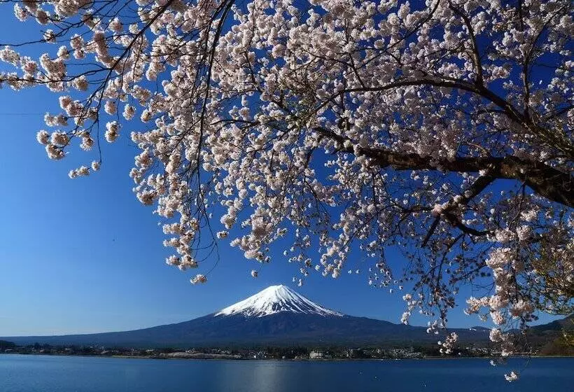 Cottage Tozawa Center