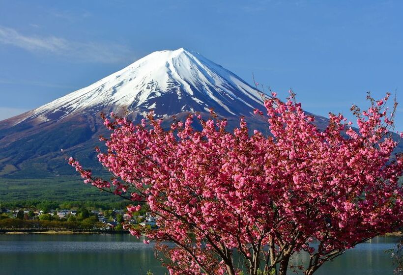 Cottage Tozawa Center