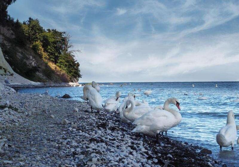 Parkhotel Putbus Superior International