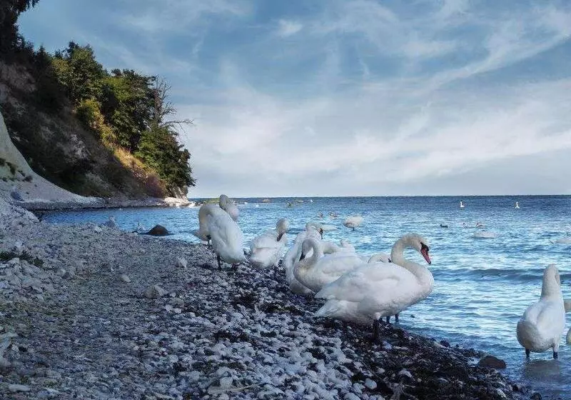 Parkhotel Putbus Superior International