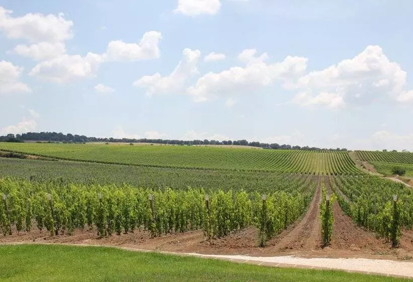 Maaseutuhotelli Agriturismo Poggio Al Tufo