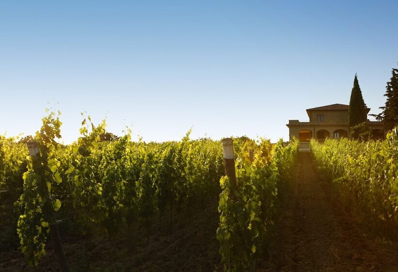 בית מלון כפרי Agriturismo Poggio Al Tufo