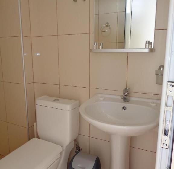 호텔 Vergina Pension