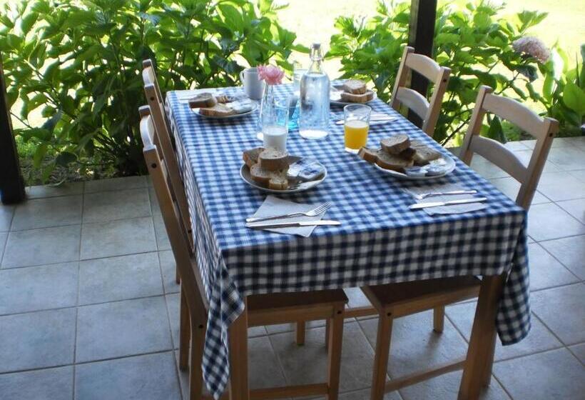 호텔 Vergina Pension