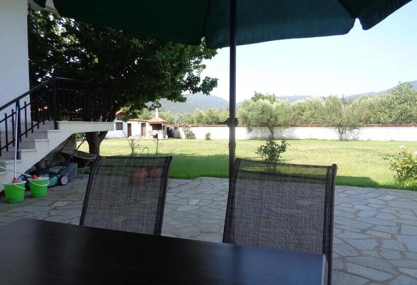 호텔 Vergina Pension