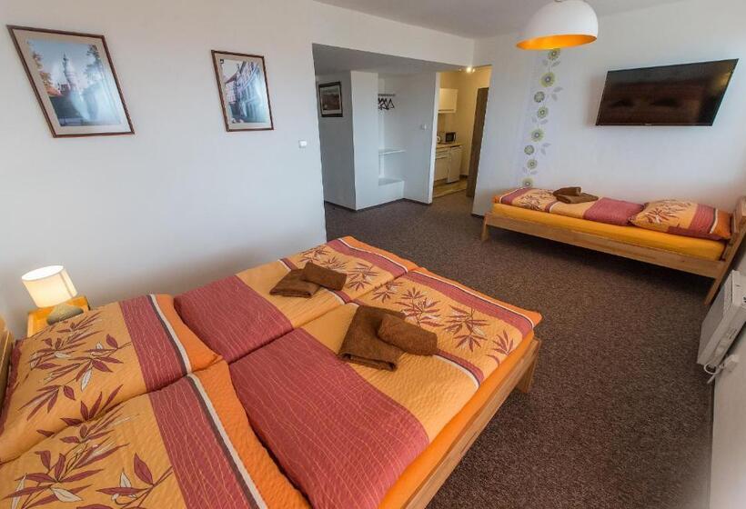 פנסיון Penzion Top