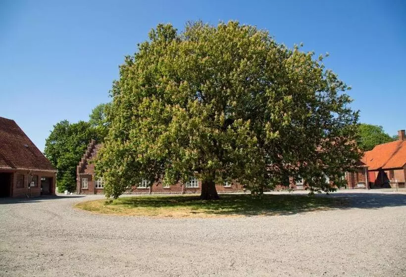 تختخواب و صبحانه Bellinge House