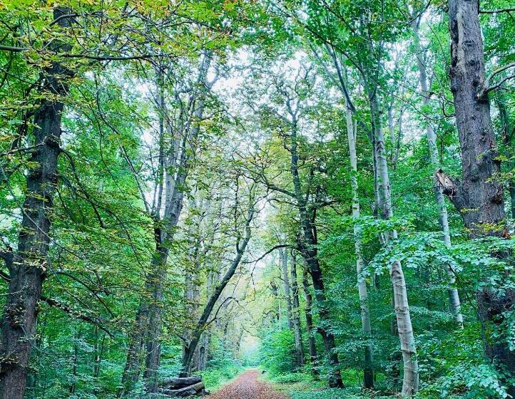 צימר Bellinge House