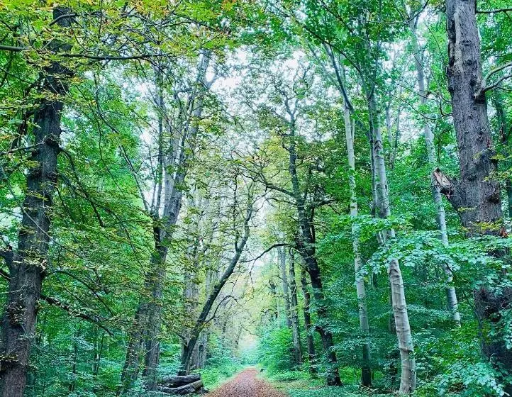 تختخواب و صبحانه Bellinge House