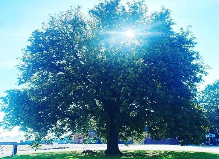 צימר Bellinge House