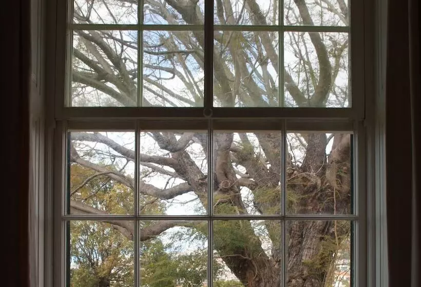 تختخواب و صبحانه Quinta Das Malvas   Quinta De Santa Luzia