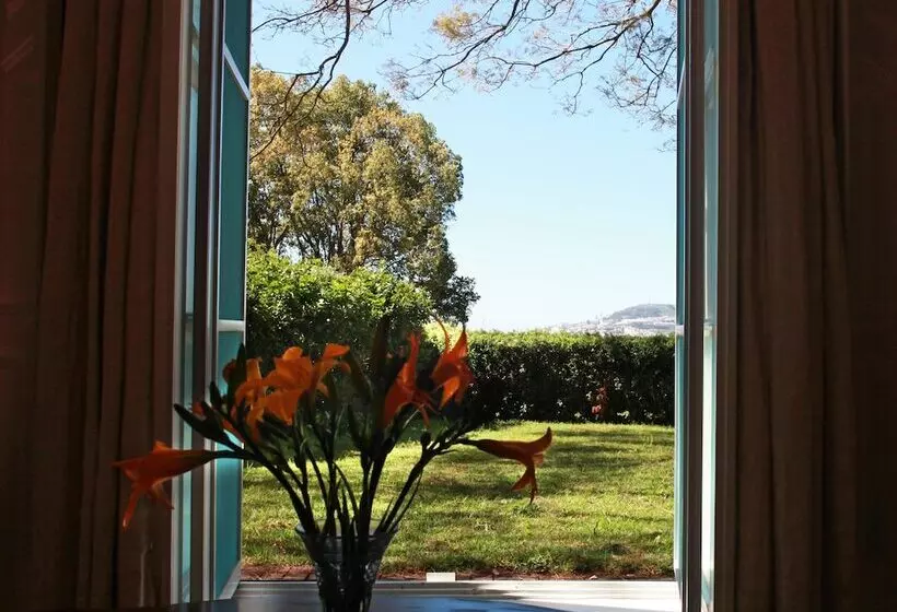 تختخواب و صبحانه Quinta Das Malvas   Quinta De Santa Luzia