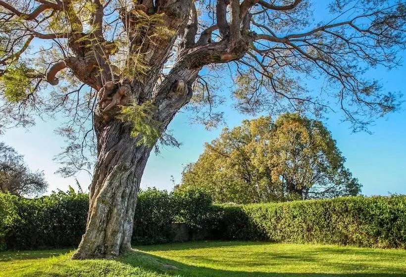 تختخواب و صبحانه Quinta Das Malvas   Quinta De Santa Luzia